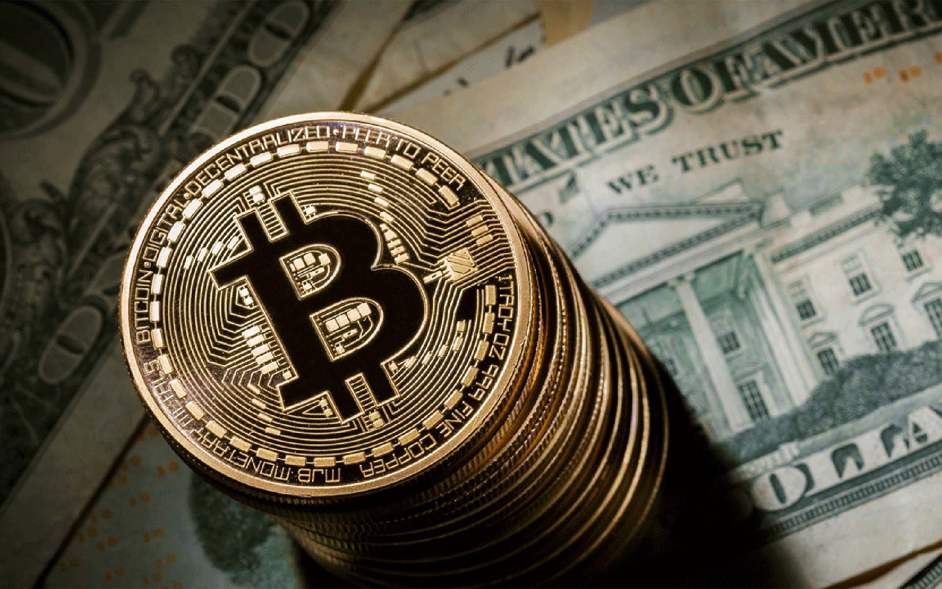 cât de mult a crescut bitcoin cryptopia trading