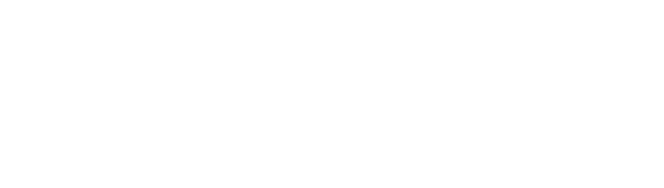 Publication Logo